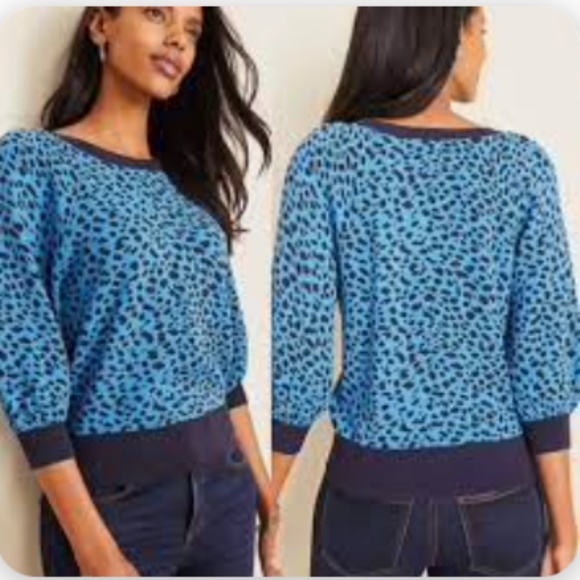 Ann Taylor Sweaters - Ann Taylor Blue Leopard Print Sweater